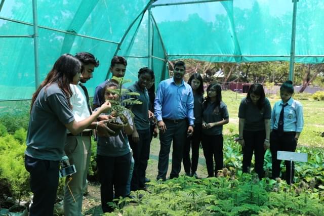 Sai Group of Institutions Dehradun Extra Curricular Activities photo 12